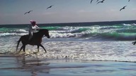 Leonard Cohen ~ Dance Me To The End Of Love