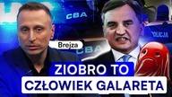 PANICZNY STRACH ZIOBRY.  BREJZA: GRUBA SIĘ WYSYPIE.  KOMPLETNI DEGENERACI PIS