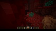 Enderman #minecraft #gaming #game #Short #Shorts #Nether