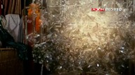 Primeval. S04E03.pl. WEB-DL. AC3. XViD-Ralf. DeiX