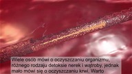Naturalne sposoby na oczyszczenie krwi - Detoks z perzu i chlorofilu