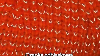 Tania polisa ubezpieczeniowa z Temu