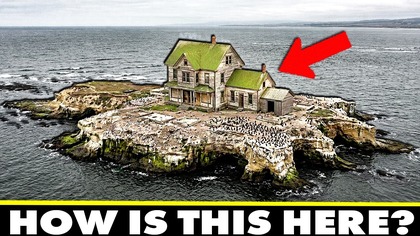 Why This Abandoned California Island was Invaded by Seals