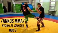 Ankos MMA/ Wycinka po Lowkicku/odc 3