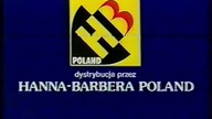 Czołówki polskich dystrybutorów kaset video XX