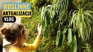 Jak szykuję ROŚLINY do przesadzania i rozmnażania.  Roślinne Aktualizacje