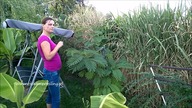 100.  Lato 2015 Kolejny rok z egzotykami w ogródku CZ. 5