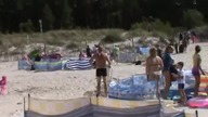 Dzik atakuje ludzi na plaży