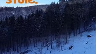 Dowcip dnia! #158# #dowcipdnia #dowcip #kawały