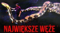 10 NAJWIEKSZYCH WEZY