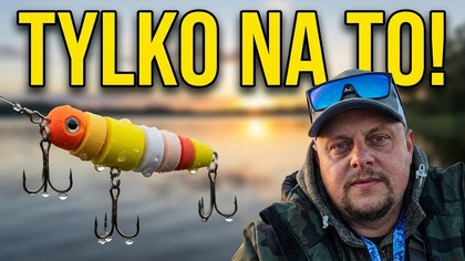 Hardkorowe sandacze.  Ryby brały TYLKO w tych momentach!