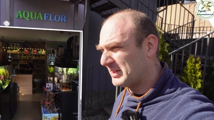  Odwiedzamy Aquaflor.pl sklep akwarystyczny w Rudzie Śląskiej.  #akwarium #akwarystyka