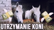 ILE KOSZTUJE UTRZYMANIE KONIA W STAJNI PRZYDOMOWEJ
