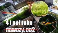 Dlaczego tu wszystko rośnie? Przecież nie powinno O_o