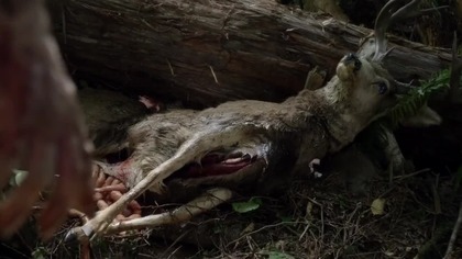 Wayward Pines - S 2 Odcinek 8