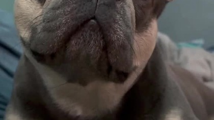 Się opierdzielamy!?