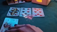 RAK 8-14 GRUDNIA 