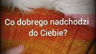 Co dobrego nadchodzi?