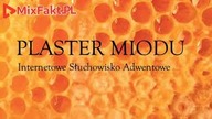 PLASTER MIODU  Odcinek 12  Błogosławiona głupota