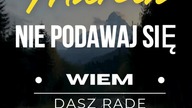 Marcin modelarz walcz o swoja pasje garaz b301 #piosenka #shorts