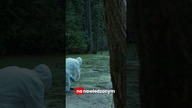 PRZERAŻAJĄCE MIASTO DUCHÓW #shorts #ghost #horrorstories #paranormal #taiwan