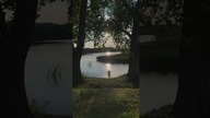 Park ukryty za stawem 29/54 Staw Płaszowski