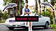 MIAMI VLOG - Pływałem z delfinami