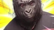 napij się wody i bądź wytrwały/a jak King Kong 