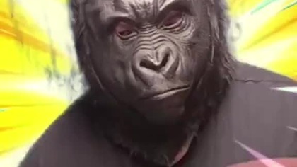 napij się wody i bądź wytrwały/a jak King Kong 