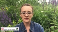 Sposoby na ŚLIMAKI