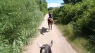 ZGUBIŁYŚMY SIĘ W LESIE *długi vlog z terenu*