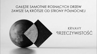 Rap-Gałęzie samotnie rosnących drzew zawsze są krótsze od strony północnej / Przeczywistość