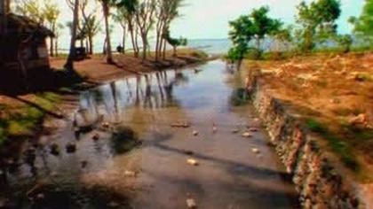 New Order - Greatest Hits (Videos Collection) (29 Videos)