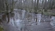 Łeba po roztopach (cały materiał)