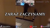 NFS UNDERGROUND kończymy grę na HARDZIE! Civic dał radę do samego końca :D