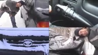 Corolla song