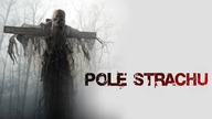Pole strachu (2013) [Lektor PL] - Scarecrow