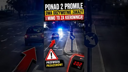 Ten finał był nieunikniony  #polskiedrogi #policja #viral #polskiedrogi