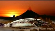 Right Here Right Now- Fatboy slim