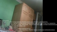 Syn Kononowicza Lajt Sylwestrowy Boży