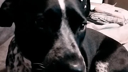 8 października 2024