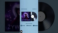 Żywioły dostępne już na wszystkich platformach  #elise #żywioły #bergen