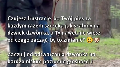 Zmień reakcję swojego psa na dzwonek!  #DogTraining #Pies #Szczekanie