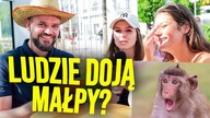 Sprawdzamy czy ludzie znają zwierzęta!