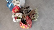 WYDAŁAM PONAD 300 ZŁ I HAUL ZAKUPOWY