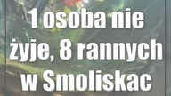 1 osoba nie żyje, 8 rannych w Smoliskach