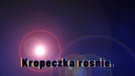 Rośnie jak na drożdżach.