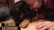 Teodor-Owczarek niemiecki długowłosy.  Od szczeniaka do dorosłego psa.  German Shepherd puppy