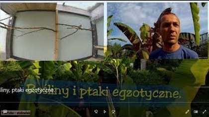  Odc. 476 Cz. 1-Rośliny-ptaki egzotyczne. Lato 2018r Ogród egzotyczny.