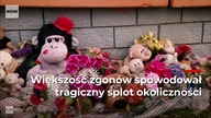 Elektryczne lasso zamiast paralizatorów